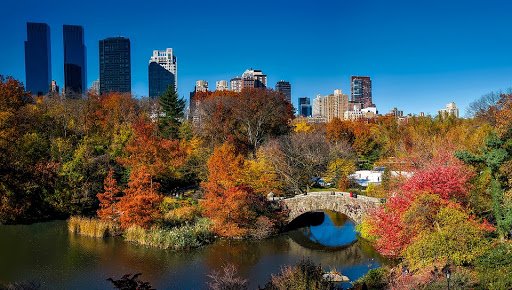 Central Park in New York