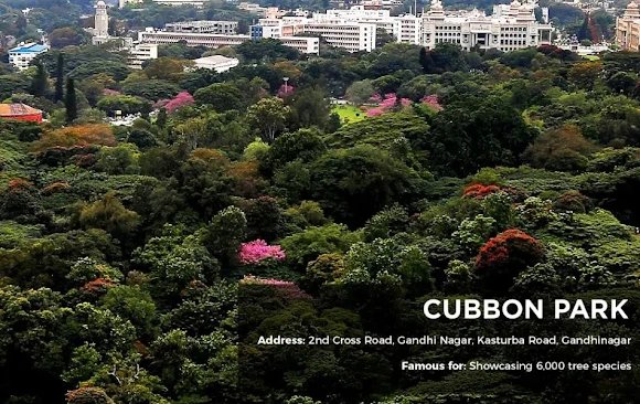 Cubbon Park