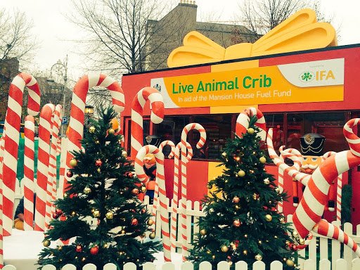 Animal Crib in Dawson Street