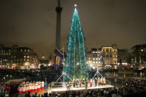 Trafalgar Square Christmas Tree