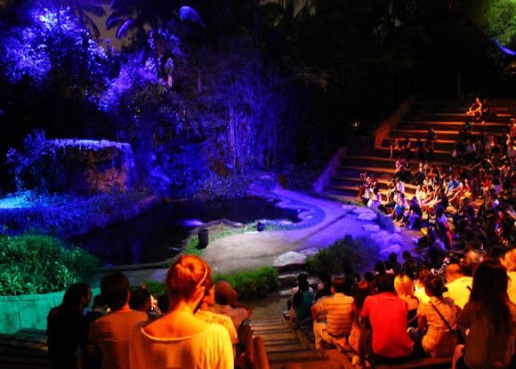 Creatures of the Night Show in Singapore Safari