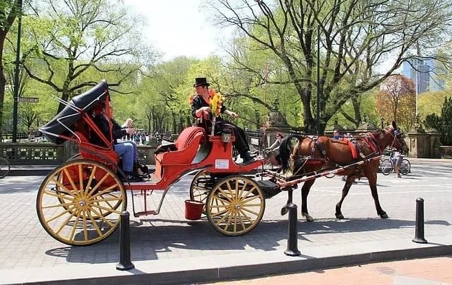 Carriage Ride London