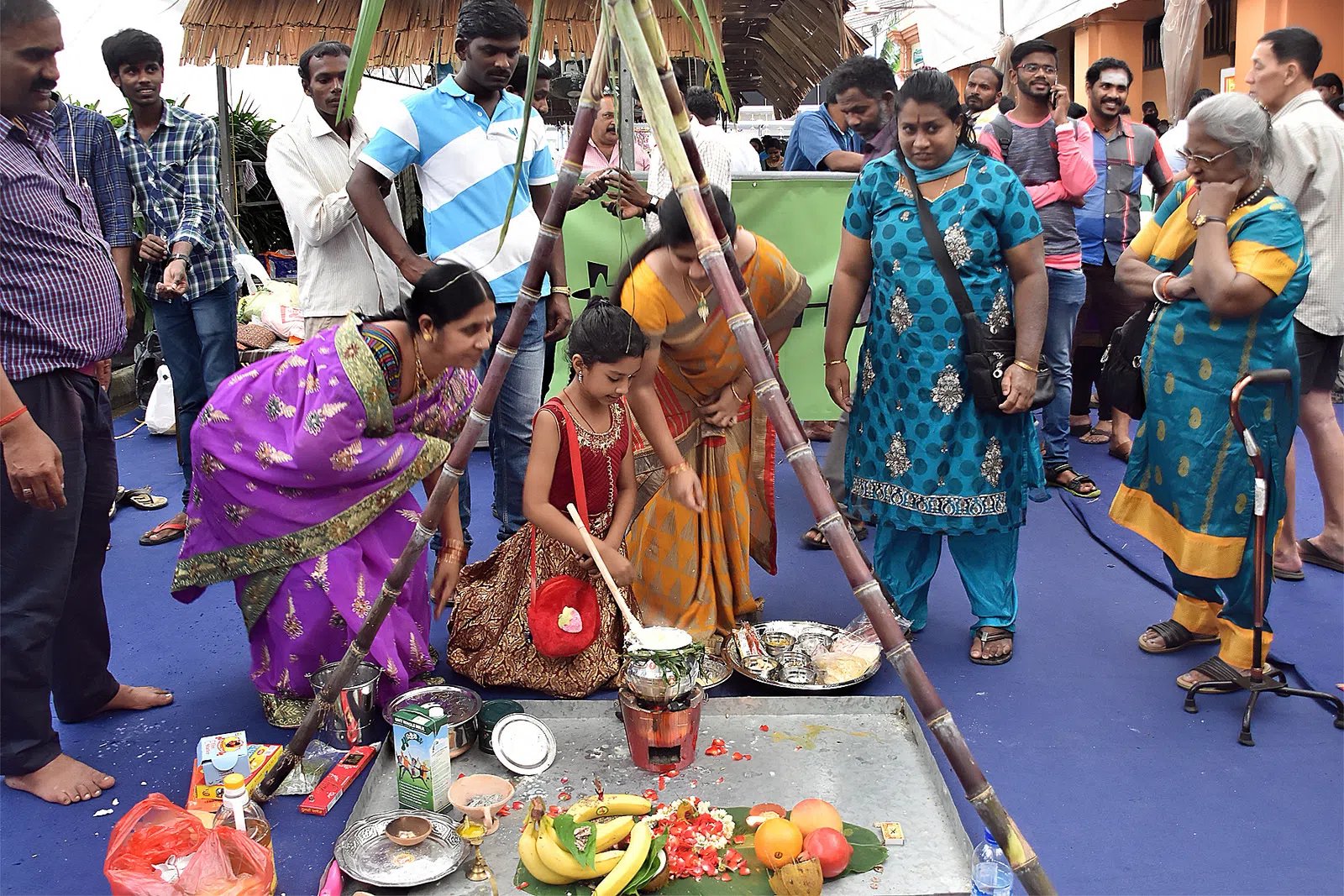 Experience the Pongal Festival in Singapore