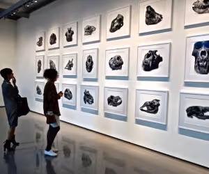 Irving Penn Exhibition