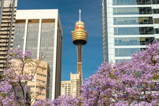 Sydney Tower Eye