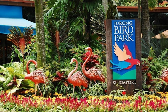 Jurong Bird Park in Singapore Safari
