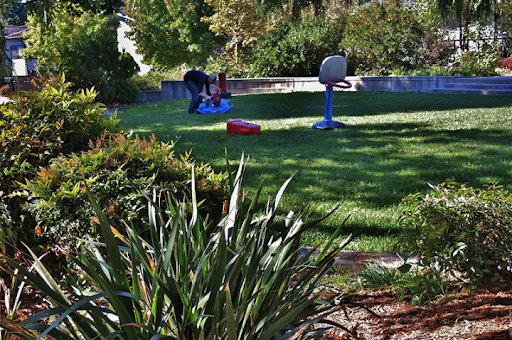 Pocket Parks in Seattle