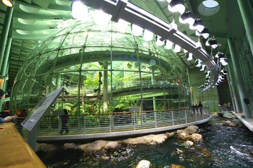 California Academy of Sciences in San Francisco