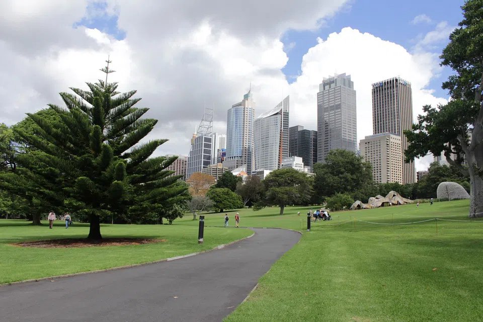 The Royal Botanic Garden