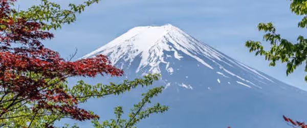 Things to do in Tokyo