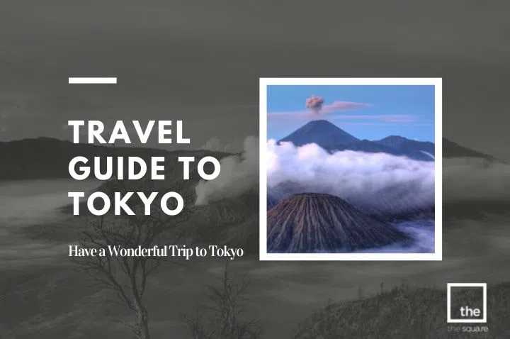 Unique Travel Guide to Tokyo for First Time Visitors