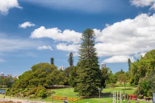 Royal Botanic Garden in Sydney