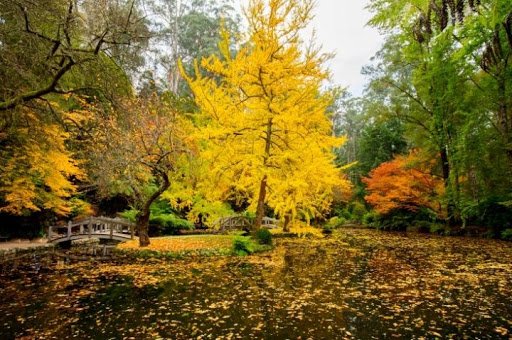 Alfred Nicholas Memorial Garden in Melbourne