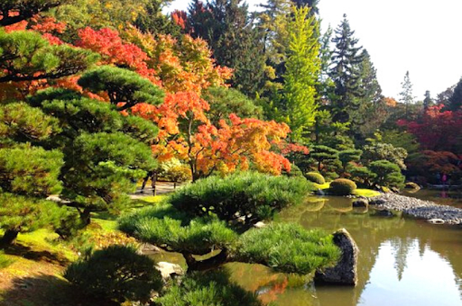 Washington Park Arboretum in Seattle