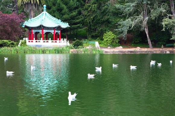 Stow Lake, San Francisco