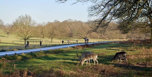 Richmond Park