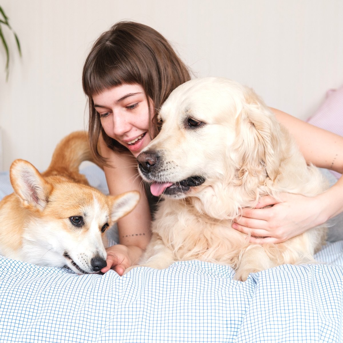 Pet Friendly Apartment in San Francisco