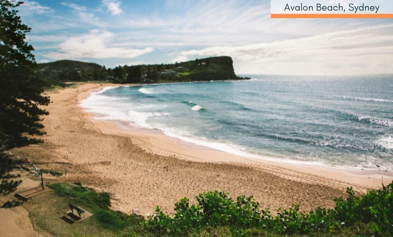Avalon Beach in Sydney