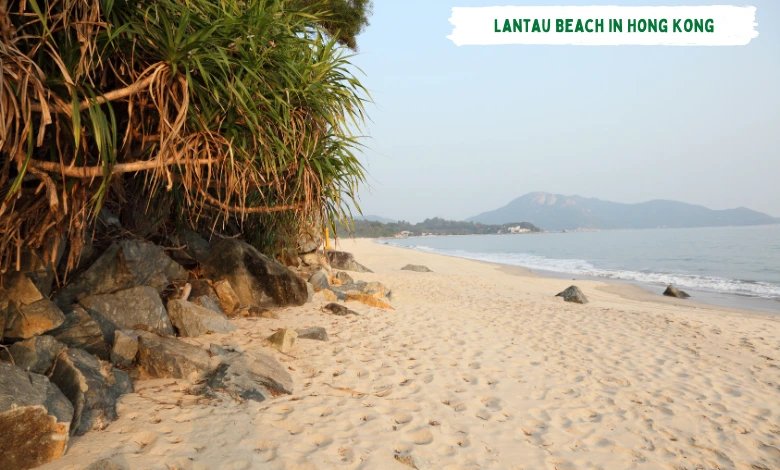 Lantau Beach in Hong Kong