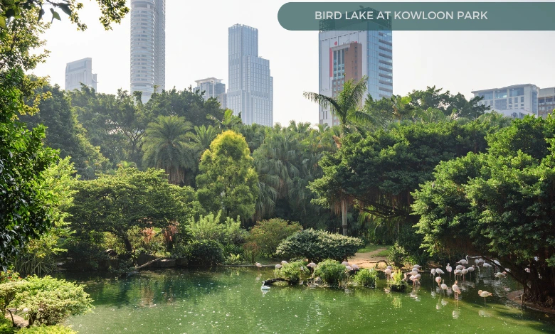 Bird Lake at Kowloon Park