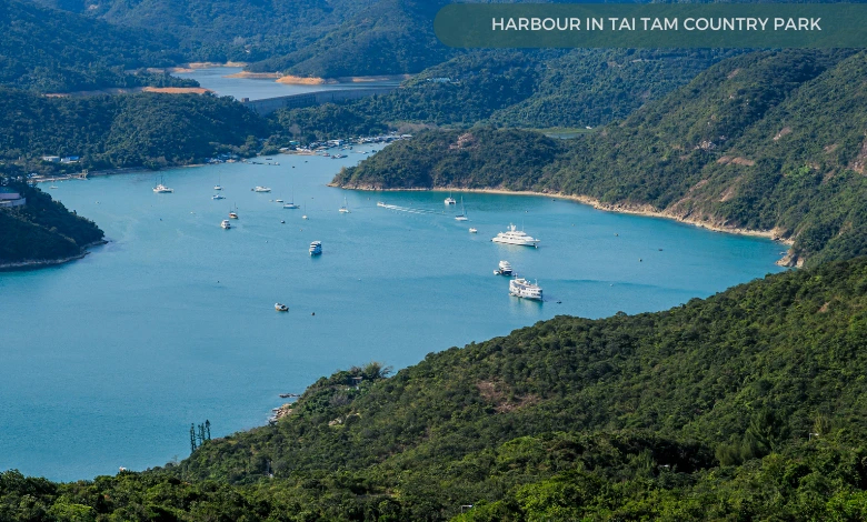 Harbour in Tai Tam Country Park
