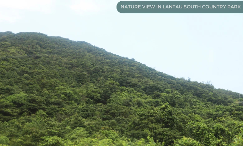 Nature View in Lantau South Country Park