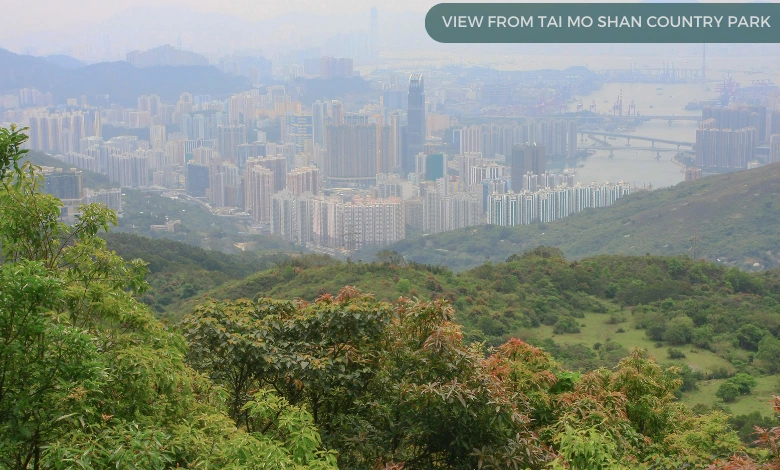 View from Tai Mo Shan Country Park