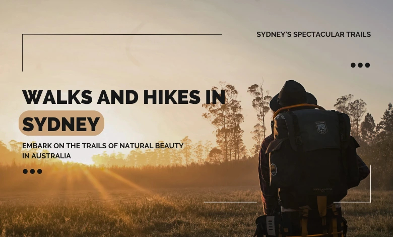 Best Walks and Hikes in Sydney