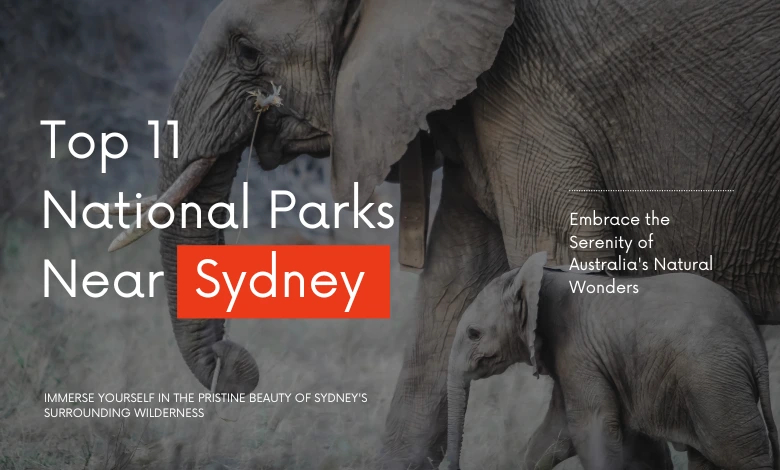 Top 11 National Parks Near Sydney, Australia
