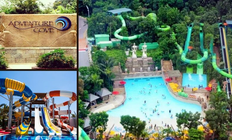Adventure Cove Waterpark