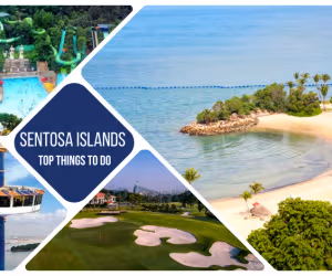 Things to Do in Sentosa Island Singapore