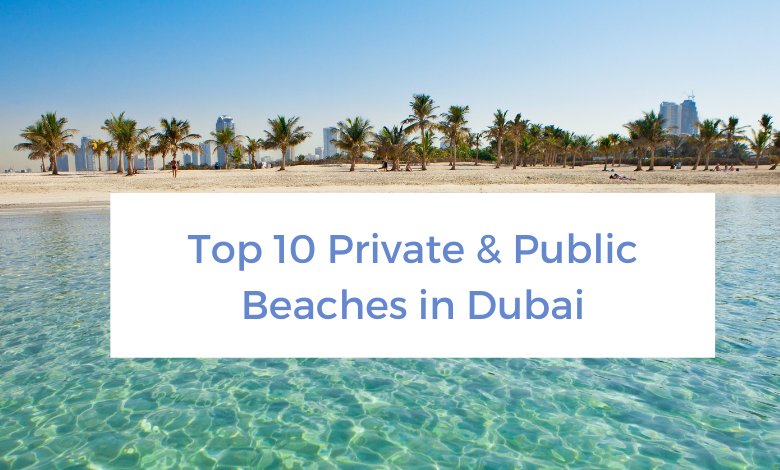 Top 8 Water Parks in UAE to visit on your UAE Family Holiday – Wellington World Travels