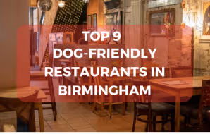 Top 9 Dog-Friendly Restaurants in Birmingham