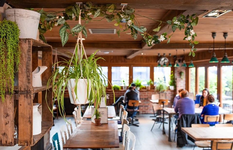 The Plough