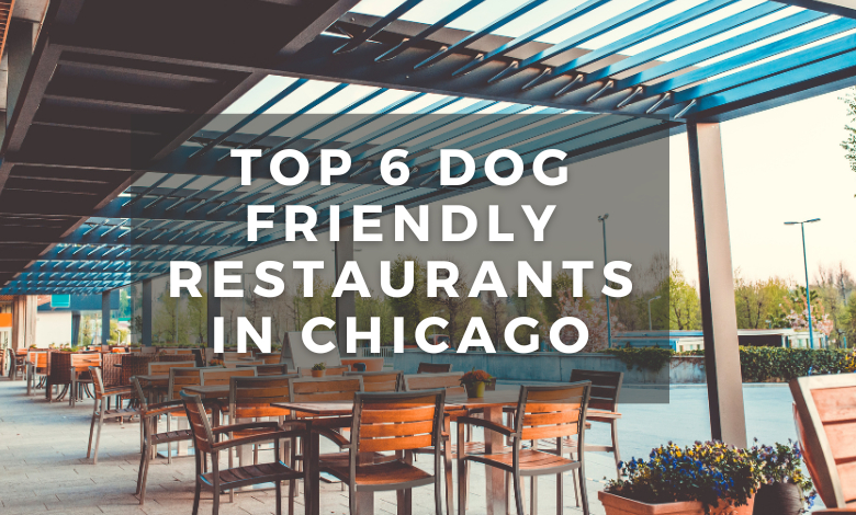 Top 6 Dog-Friendly Restaurants in Chicago