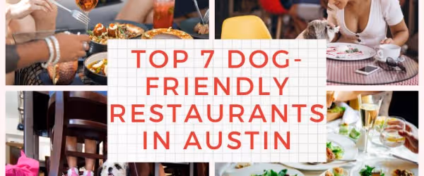 Top 7 Dog-Friendly Restaurants in Austin
