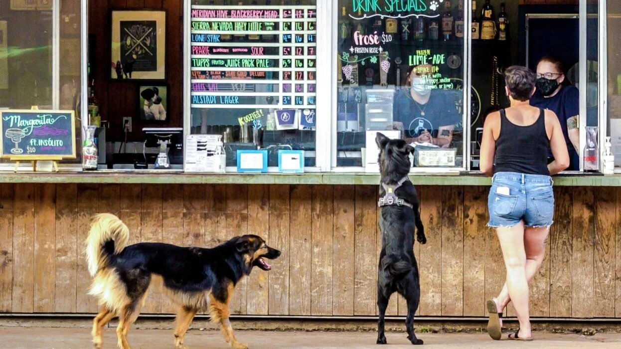 Yard Bar