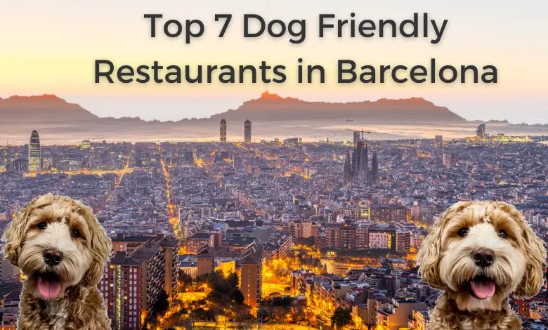 Top 7 Dog-Friendly Restaurants in Barcelona