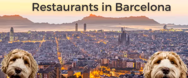 Top 7 Dog-Friendly Restaurants in Barcelona
