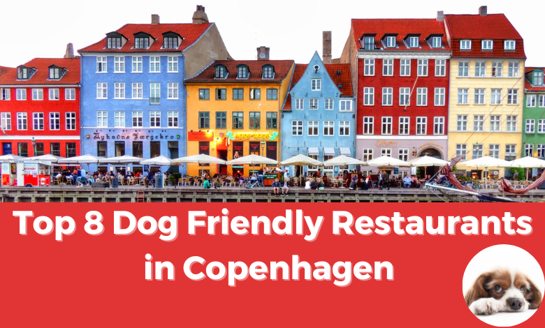 Top 8 Dog-Friendly Restaurants in Copenhagen