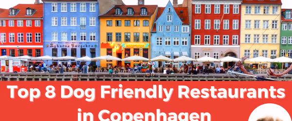 Top 8 Dog-Friendly Restaurants in Copenhagen