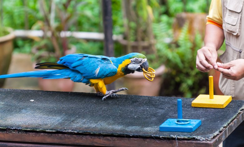 KL Bird Park
