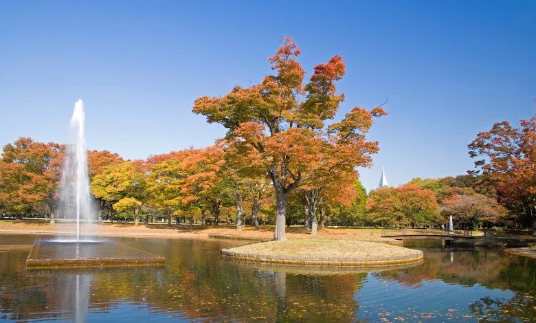 Yoyogi Park