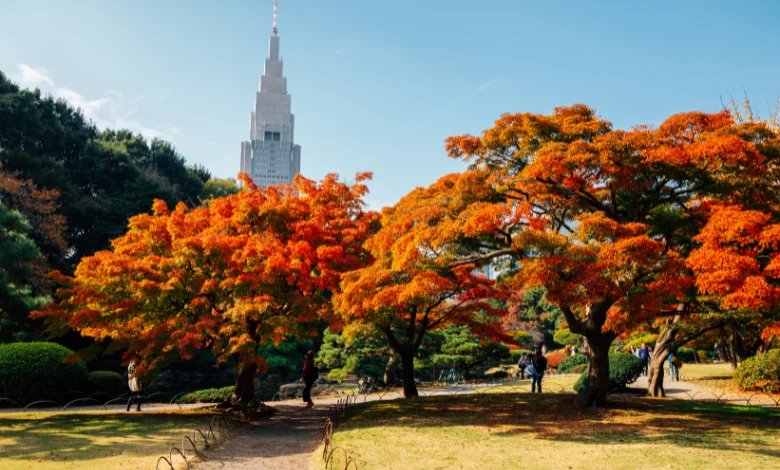 Shinjuku Gyoen