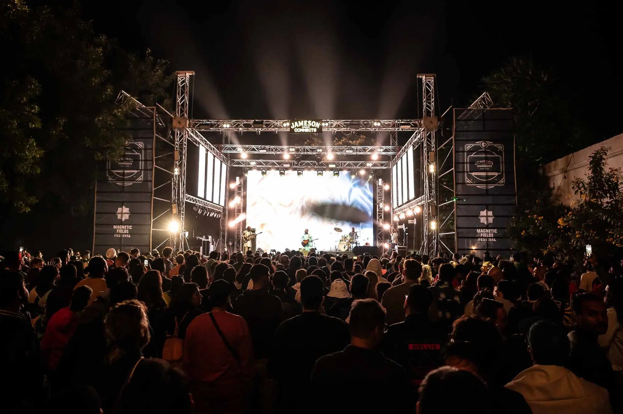 Magnetic Fields Festival