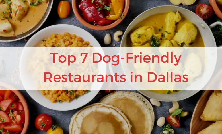 Top 7 Dog-Friendly Restaurants in Dallas