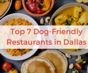 Top 7 Dog-Friendly Restaurants in Dallas