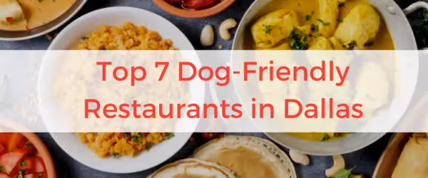 Top 7 Dog-Friendly Restaurants in Dallas