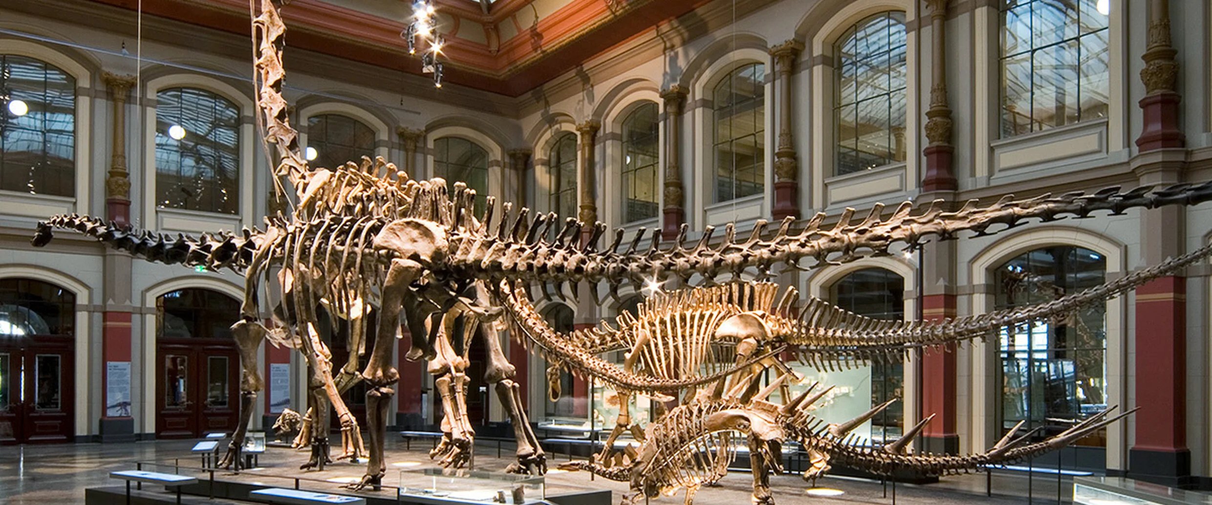 museum of natural history berlin