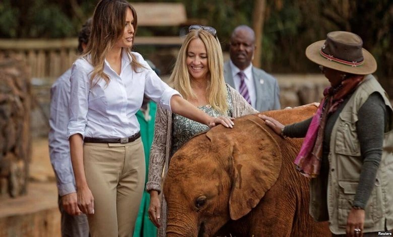 David Sheldrick Wildlife Trust